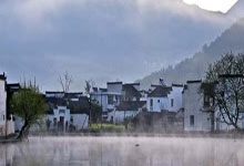道人峰茶叶市场价格